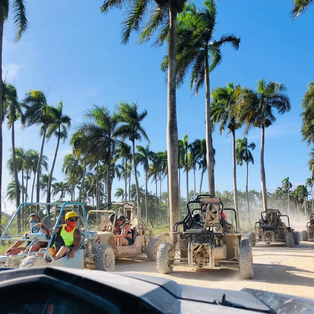 Miches Buggies Crowd