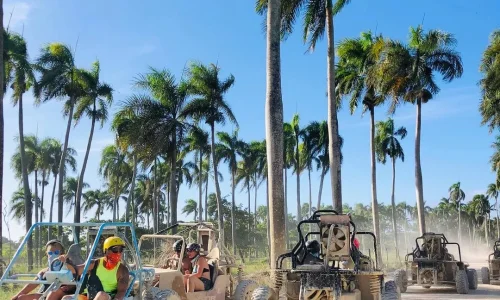 Miches Buggies Crowd