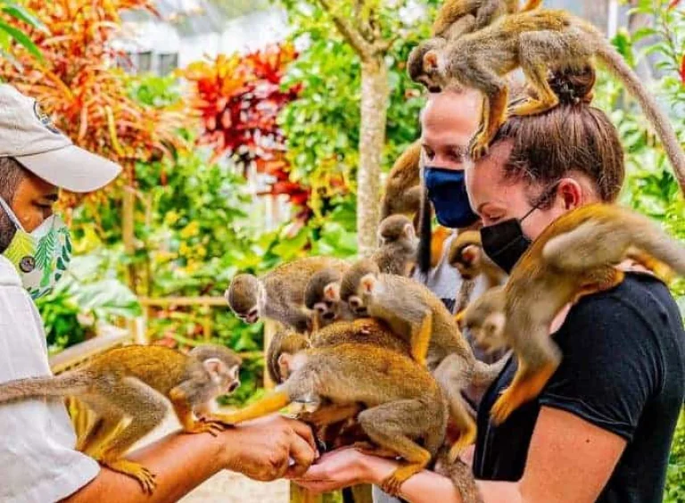 Monkeyland tour from Miches — excursion from Hotel La Loma