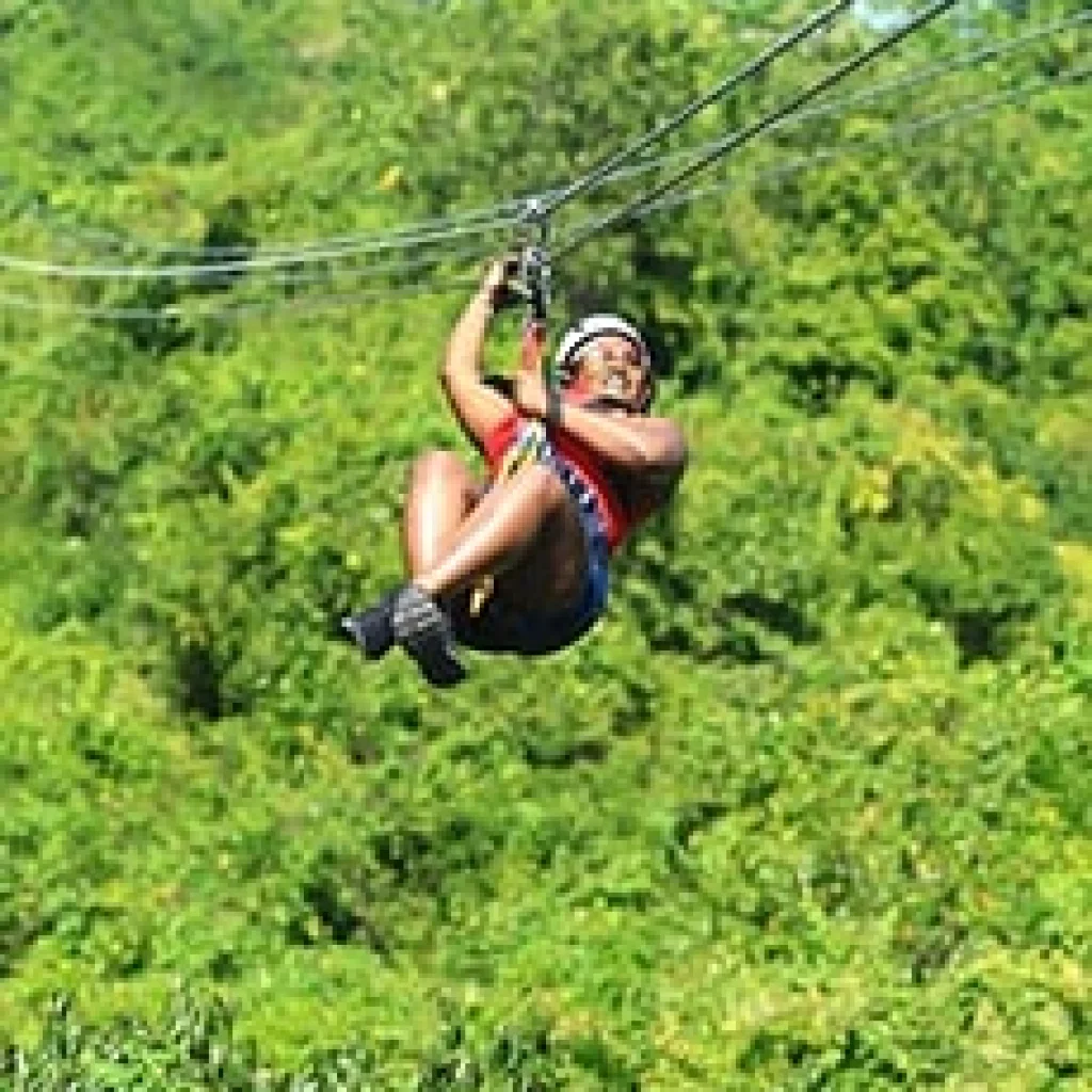 Canopy Zip Line tour from Miches