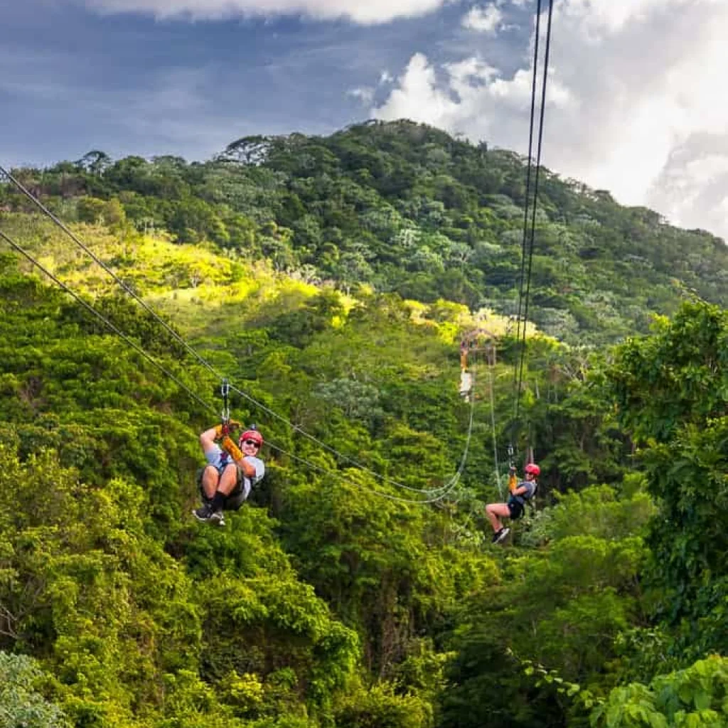 Monkeyland Zip Line
