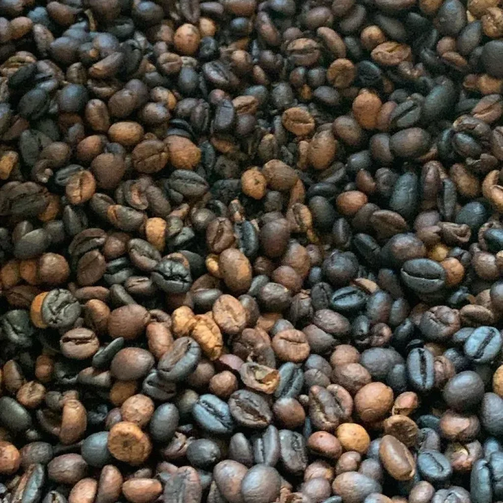 Miches Safari Cultural Tour: Coffee Beans
