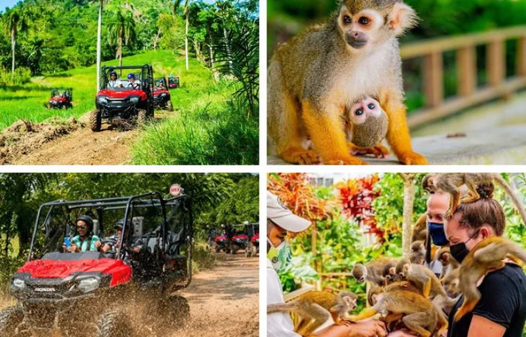 Combo: Monkeyland & Jungle Buggies — excursion from Hotel La Loma