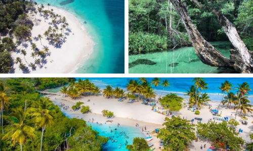 Playa Rincon tour from Miches or Bayahibe