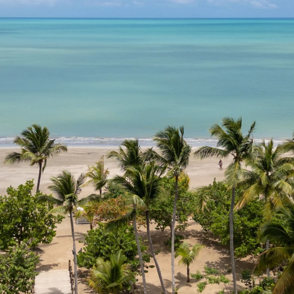 Miches Dominican Republic - pristine beach and palm trees