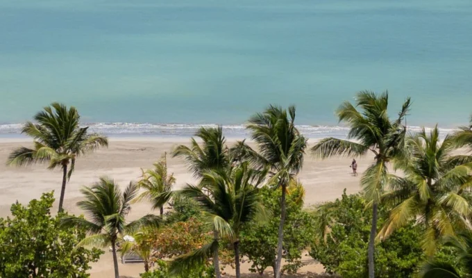 Miches Dominican Republic - pristine beach and palm trees
