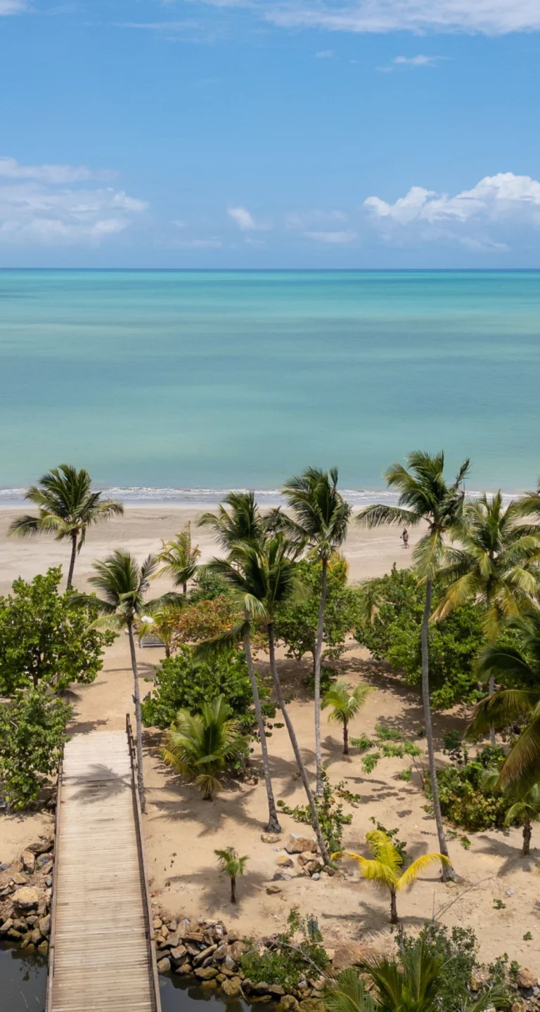 Miches Dominican Republic - pristine beach and palm trees