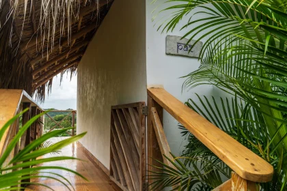 Tours from Margarita Ecovillage Excursions & Tours